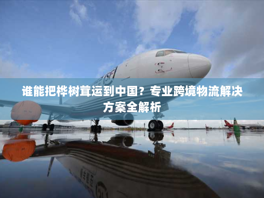 谁能把桦树茸运到中国？专业跨境物流解决方案全解析