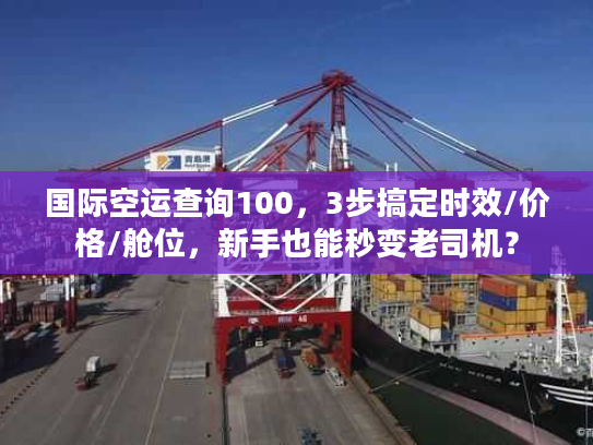 国际空运查询100，3步搞定时效/价格/舱位，新手也能秒变老司机？