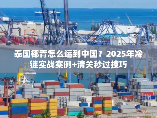 泰国椰青怎么运到中国？2025年冷链实战案例+清关秒过技巧
