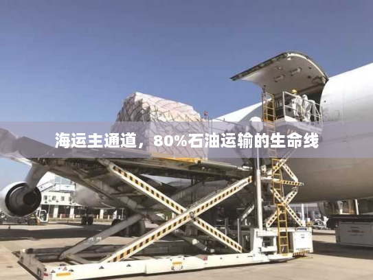 海运主通道,80%石油运输的生命线 海运主通道,80%石油运输的生命线