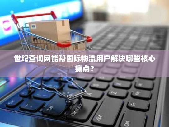 世纪查询网能帮国际物流用户解决哪些核心痛点？