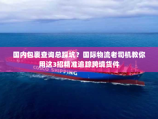 国内包裹查询总踩坑？国际物流老司机教你用这3招精准追踪跨境货件