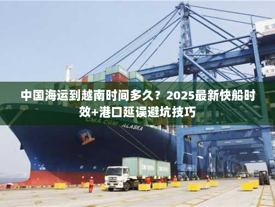 中国海运到越南时间多久？2025最新快船时效+港口延误避坑技巧