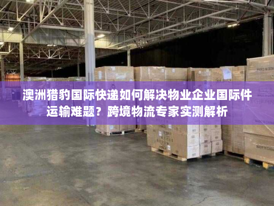 澳洲猎豹国际快递如何解决物业企业国际件运输难题?跨境物流专家实测解析 澳洲猎豹国际快递如何解决物业企业国际件运输难题?跨境物流专家实测解析