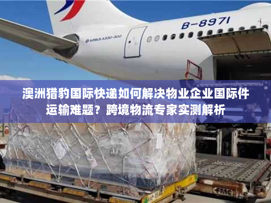 澳洲猎豹国际快递如何解决物业企业国际件运输难题?跨境物流专家实测解析 澳洲猎豹国际快递如何解决物业企业国际件运输难题?跨境物流专家实测解析