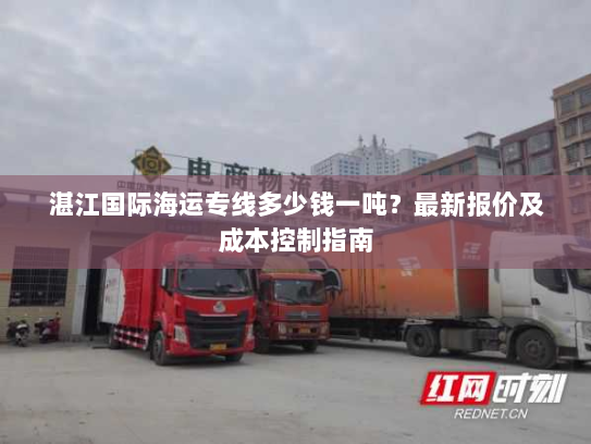湛江国际海运专线多少钱一吨?最新报价及成本控制指南 湛江国际海运专线多少钱一吨?最新报价及成本控制指南