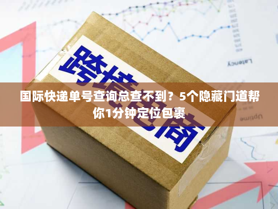 国际快递单号查询总查不到？5个隐藏门道帮你1分钟定位包裹