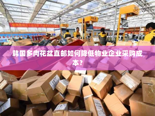 韩国多肉花盆直邮如何降低物业企业采购成本? 韩国多肉花盆直邮如何降低物业企业采购成本?