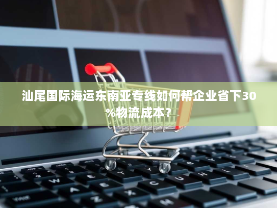 汕尾国际海运东南亚专线如何帮企业省下30%物流成本? 汕尾国际海运东南亚专线如何帮企业省下30%物流成本?