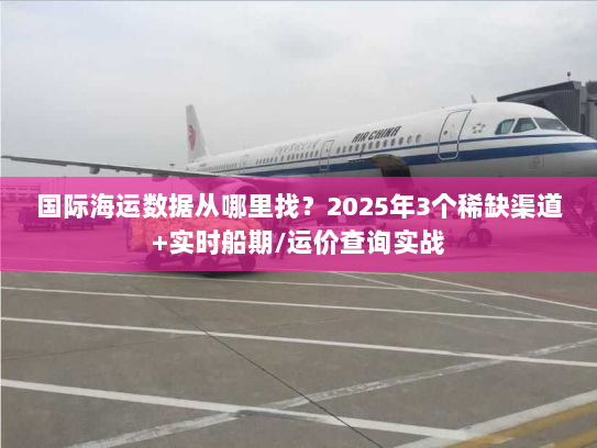 国际海运数据从哪里找？2025年3个稀缺渠道+实时船期/运价查询实战