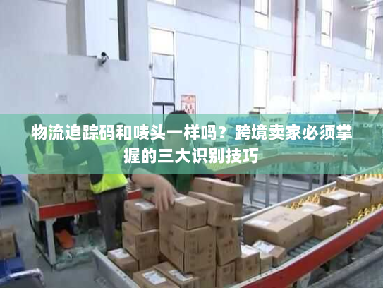 物流追踪码和唛头一样吗?跨境卖家必须掌握的三大识别技巧 物流追踪码和唛头一样吗?跨境卖家必须掌握的三大识别技巧