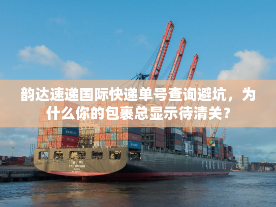 韵达速递国际快递单号查询避坑，为什么你的包裹总显示待清关？