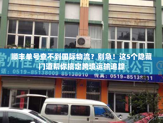 顺丰单号查不到国际物流？别急！这5个隐藏门道帮你搞定跨境运输追踪