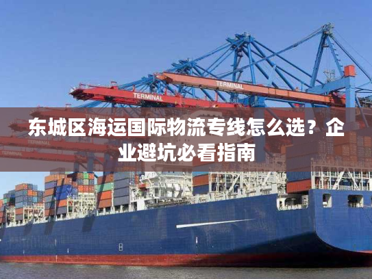 东城区海运国际物流专线怎么选?企业避坑必看指南 东城区海运国际物流专线怎么选?企业避坑必看指南