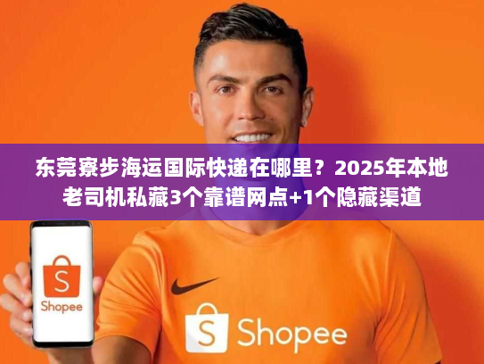 东莞寮步海运国际快递在哪里？2025年本地老司机私藏3个靠谱网点+1个隐藏渠道
