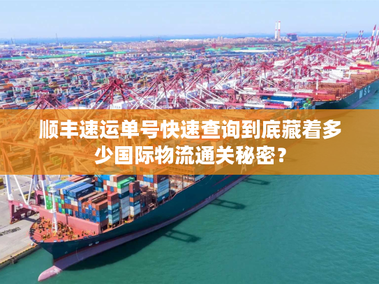 顺丰速运单号快速查询到底藏着多少国际物流通关秘密？