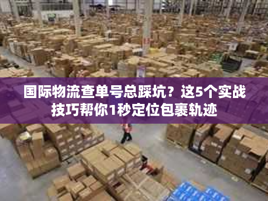 国际物流查单号总踩坑?这5个实战技巧帮你1秒定位包裹轨迹 国际物流查单号总踩坑?这5个实战技巧帮你1秒定位包裹轨迹