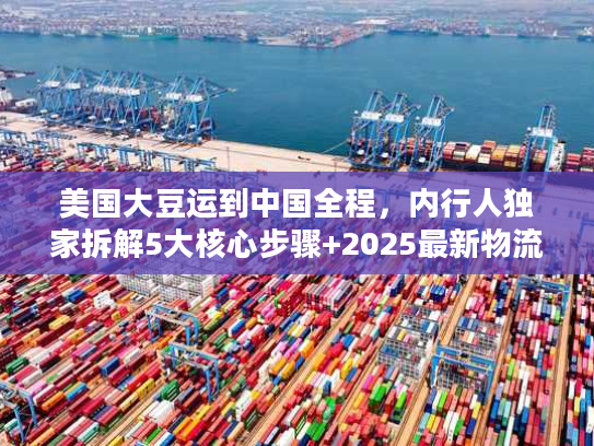 美国大豆运到中国全程，内行人独家拆解5大核心步骤+2025最新物流成本数据