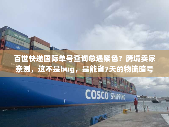 百世快递国际单号查询总遇紫色？跨境卖家亲测，这不是bug，是能省7天的物流暗号