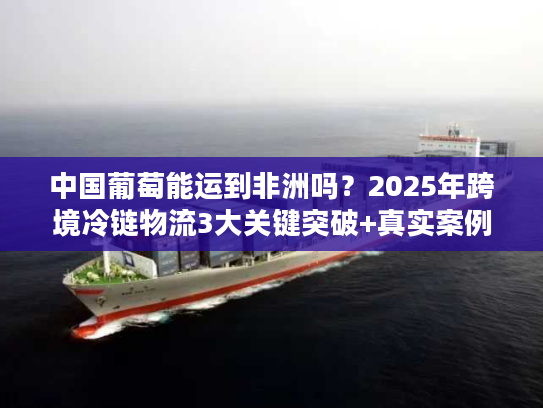 中国葡萄能运到非洲吗？2025年跨境冷链物流3大关键突破+真实案例拆解
