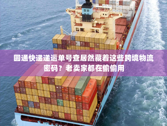 圆通快递递运单号查居然藏着这些跨境物流密码？老卖家都在偷偷用