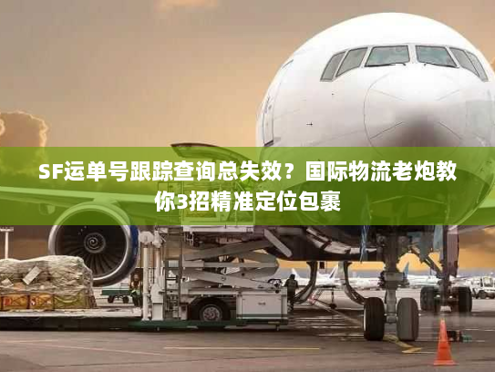 SF运单号跟踪查询总失效？国际物流老炮教你3招精准定位包裹