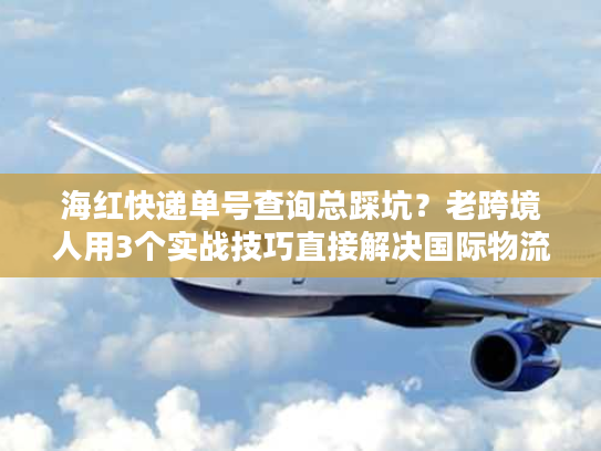 海红快递单号查询总踩坑？老跨境人用3个实战技巧直接解决国际物流追踪痛点