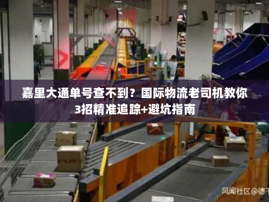 嘉里大通单号查不到？国际物流老司机教你3招精准追踪+避坑指南