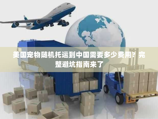 美国宠物随机托运到中国需要多少费用?完整避坑指南来了 美国宠物随机托运到中国需要多少费用?完整避坑指南来了