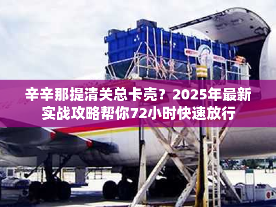 辛辛那提清关总卡壳?2025年最新实战攻略帮你72小时快速放行 辛辛那提清关总卡壳?2025年最新实战攻略帮你72小时快速放行