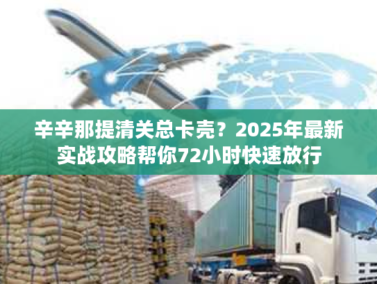 辛辛那提清关总卡壳?2025年最新实战攻略帮你72小时快速放行 辛辛那提清关总卡壳?2025年最新实战攻略帮你72小时快速放行
