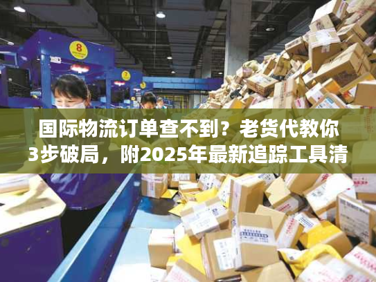 国际物流订单查不到？老货代教你3步破局，附2025年最新追踪工具清单