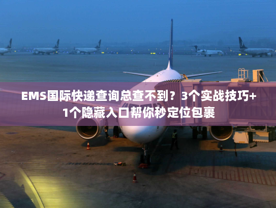 EMS国际快递查询总查不到？3个实战技巧+1个隐藏入口帮你秒定位包裹