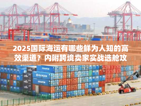 2025国际海运有哪些鲜为人知的高效渠道？内附跨境卖家实战选舱攻略