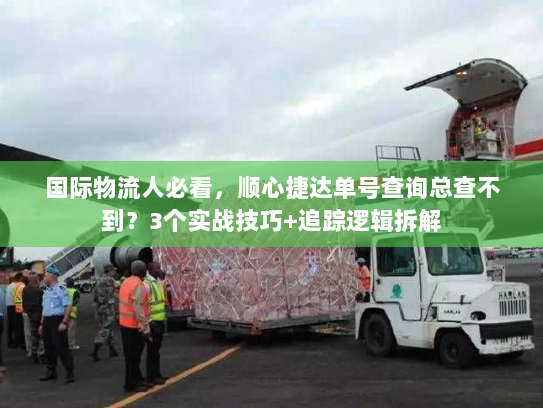 国际物流人必看，顺心捷达单号查询总查不到？3个实战技巧+追踪逻辑拆解
