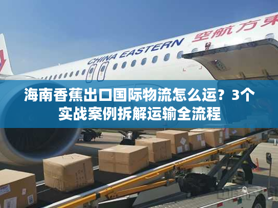 海南香蕉出口国际物流怎么运？3个实战案例拆解运输全流程
