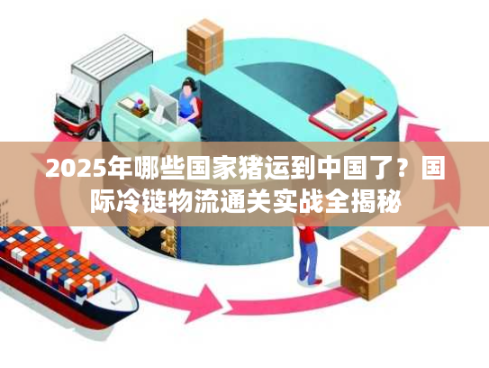 2025年哪些国家猪运到中国了？国际冷链物流通关实战全揭秘