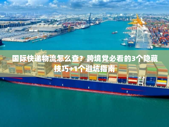 国际快递物流怎么查？跨境党必看的3个隐藏技巧+1个避坑指南