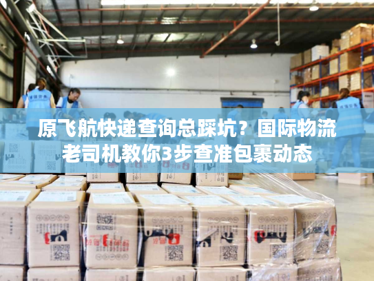 原飞航快递查询总踩坑？国际物流老司机教你3步查准包裹动态