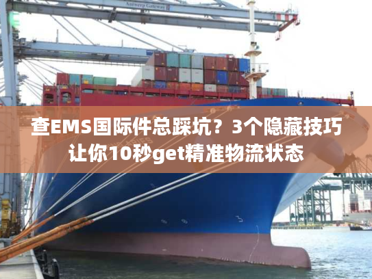 查EMS国际件总踩坑？3个隐藏技巧让你10秒get精准物流状态
