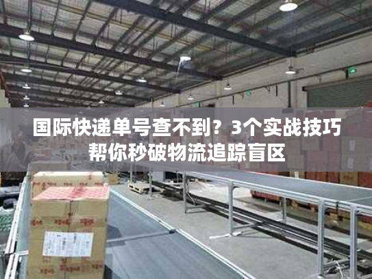 国际快递单号查不到？3个实战技巧帮你秒破物流追踪盲区