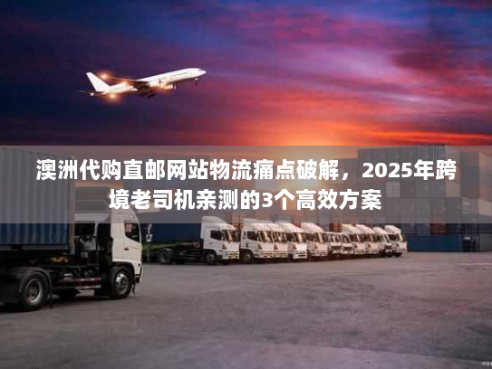 澳洲代购直邮网站物流痛点破解，2025年跨境老司机亲测的3个高效方案