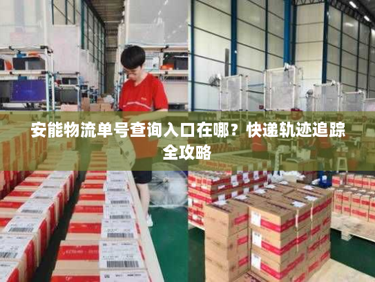 安能物流单号查询入口在哪?快递轨迹追踪全攻略 安能物流单号查询入口在哪?快递轨迹追踪全攻略