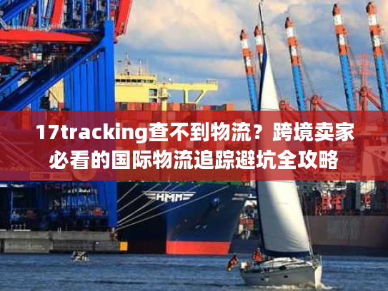 17tracking查不到物流？跨境卖家必看的国际物流追踪避坑全攻略