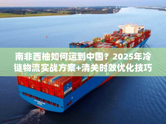 南非西柚如何运到中国？2025年冷链物流实战方案+清关时效优化技巧