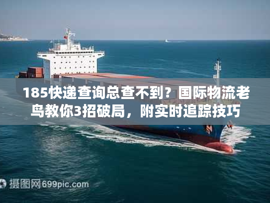 185快递查询总查不到？国际物流老鸟教你3招破局，附实时追踪技巧