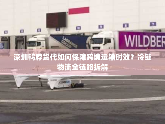 深圳鸭脖货代如何保障跨境运输时效?冷链物流全链路拆解 深圳鸭脖货代如何保障跨境运输时效?冷链物流全链路拆解