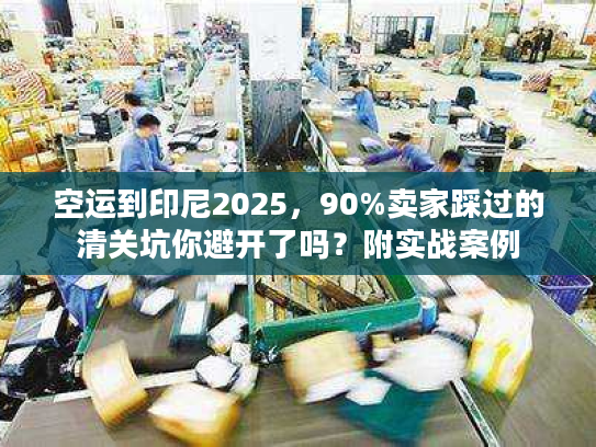 空运到印尼2025,90%卖家踩过的清关坑你避开了吗?附实战案例 空运到印尼2025,90%卖家踩过的清关坑你避开了吗?附实战案例