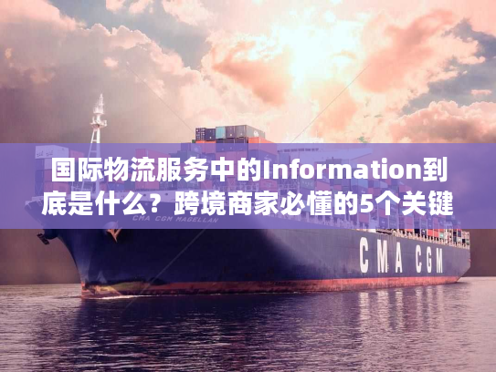 国际物流服务中的Information到底是什么？跨境商家必懂的5个关键信息价值