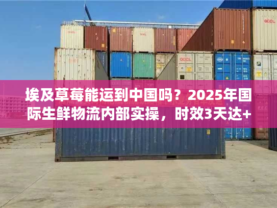 埃及草莓能运到中国吗？2025年国际生鲜物流内部实操，时效3天达+清关0延误秘诀